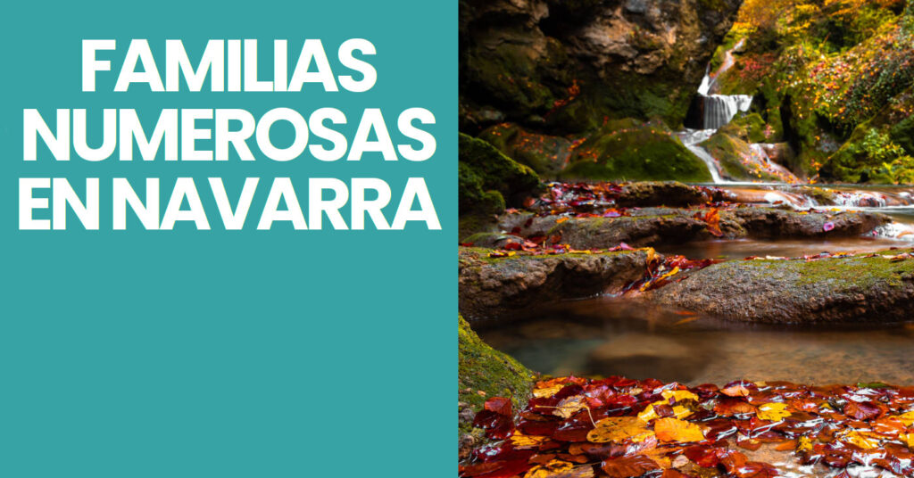 Ayudas para familias numerosas en Navarra.