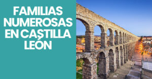 FAMILIAS NUMEROSAS EN CASTILLA LEÓN