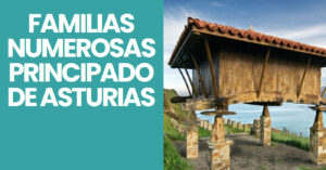 ayudas familias numerosas en principado de asturias