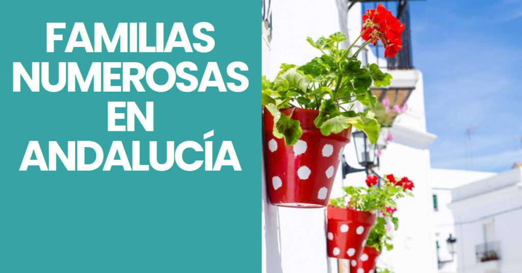 Ayudas familias numerosas Junta de Andalucía.