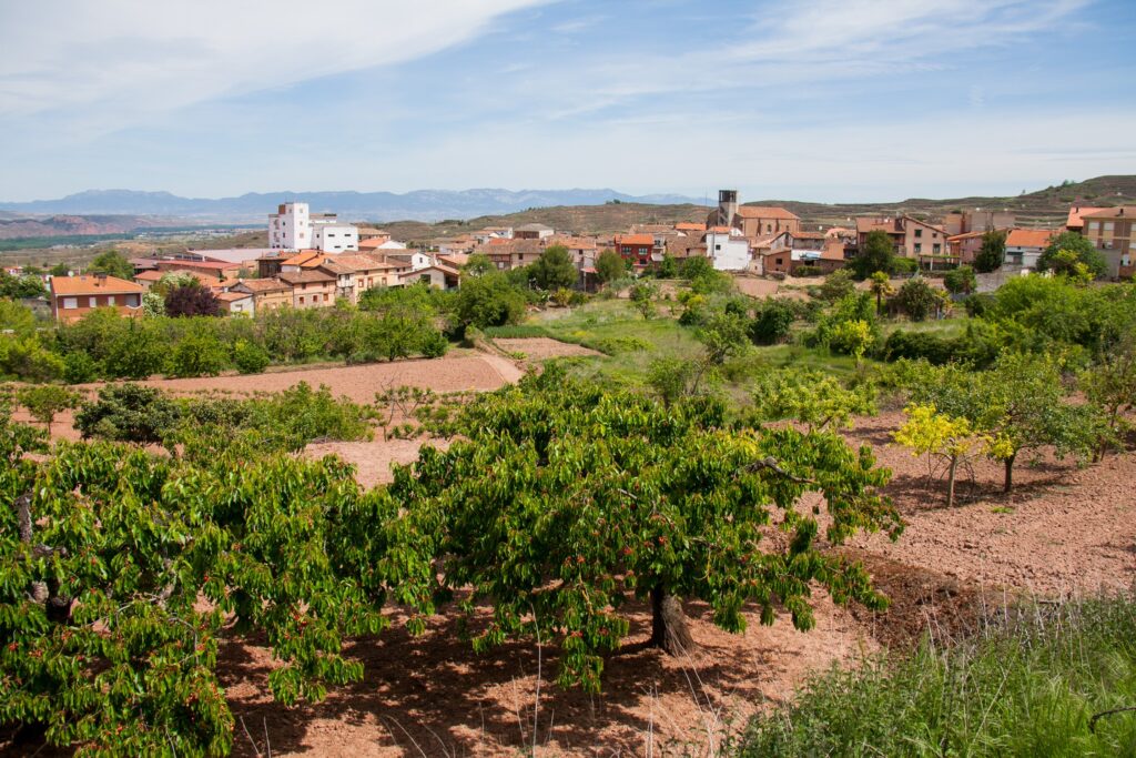 Camprovin La Rioja pueblos que buscan familias para vivir y repoblar